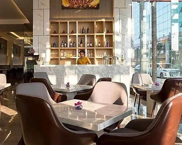 ホテル Elegant Airport 5*